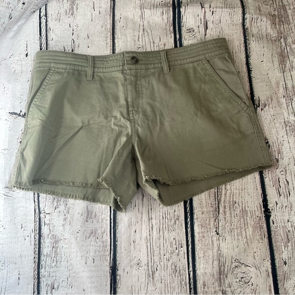 Prana Pants - NWT Prana Sancho Shorts Size 10